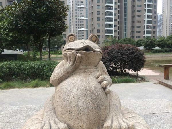 　　图为小区内的青蛙雕像