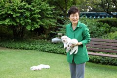  韩国总统朴槿惠网上秀与爱犬嬉戏照片 