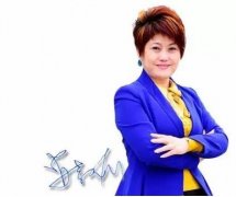  最新消息：安紫瑜辞去新科奇总裁一职 