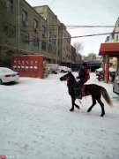  内蒙古突降暴雪 快递员骑马送包裹 