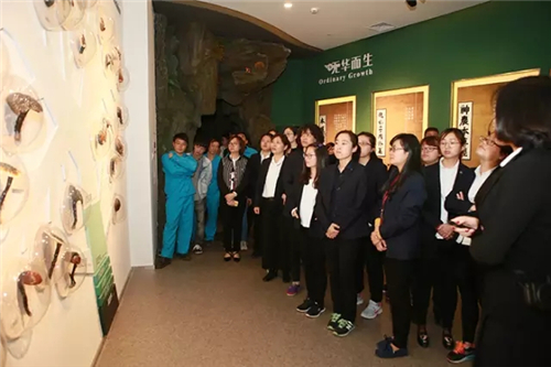 安惠中华灵芝文化馆升级改造后试开馆 迎来首批参观者