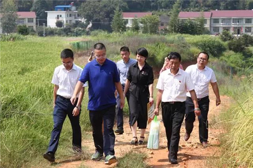 绿之韵集团定点精准帮扶活动走进浏阳乌石村