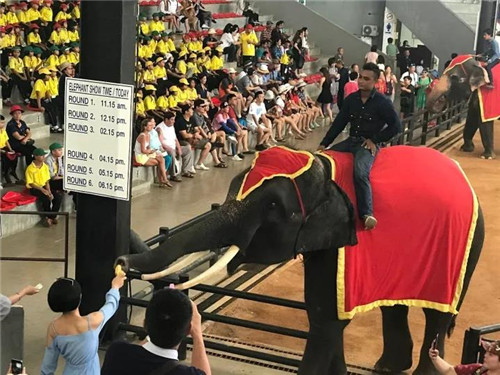 北方大陆泰国之旅完美结束，霸气归来！