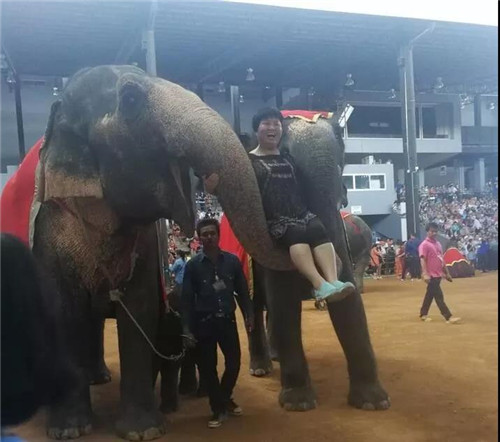 北方大陆泰国之旅完美结束，霸气归来！