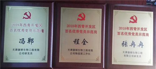 康婷公司党支部、党员在西青开发区“评先争优”活动中荣获佳绩
