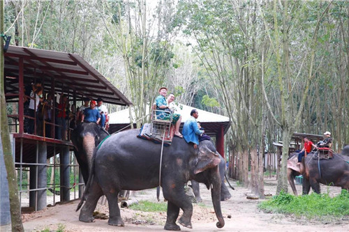 卫康游学之旅尽览异国热辣风光