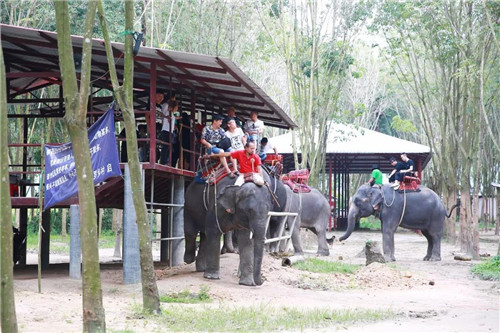 卫康游学之旅尽览异国热辣风光