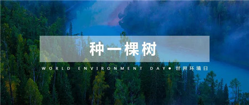 世界环境日，绿之韵人在行动